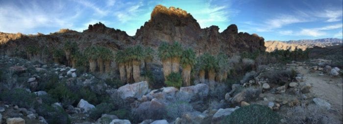 Beautiful Andreas Canyon oasis, within the Indian Canyons Tribal Park