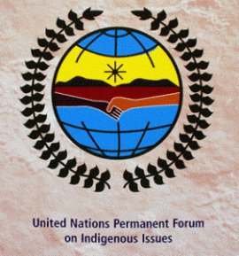 United Nations Permanent Forum on Indigenous Issues logo