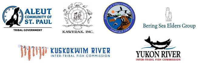 Coalition of Bering Sea tribes and Native organizations