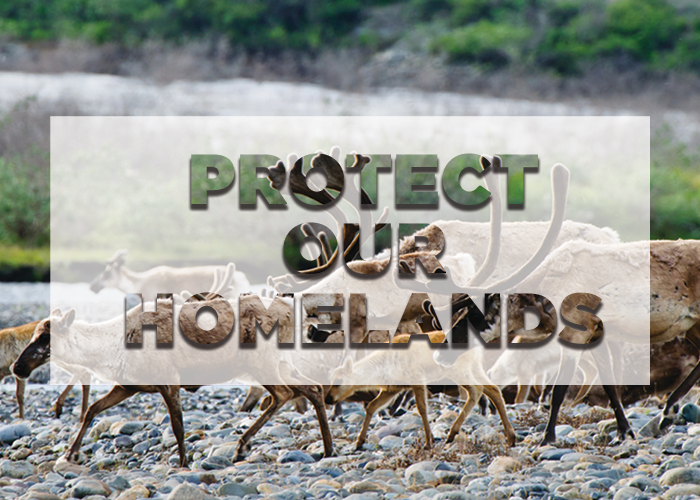protect our homelands
